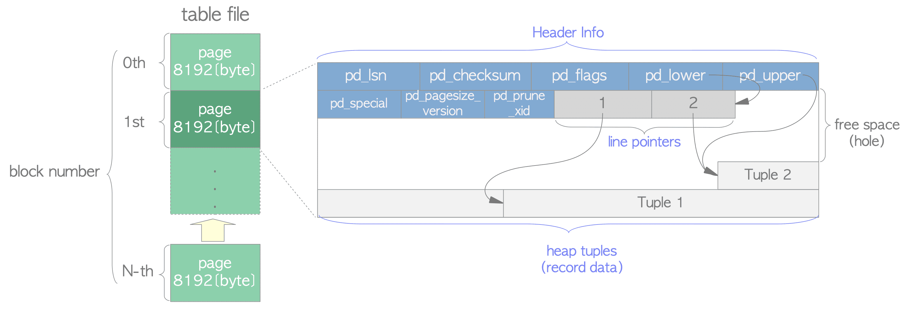 Page architecture