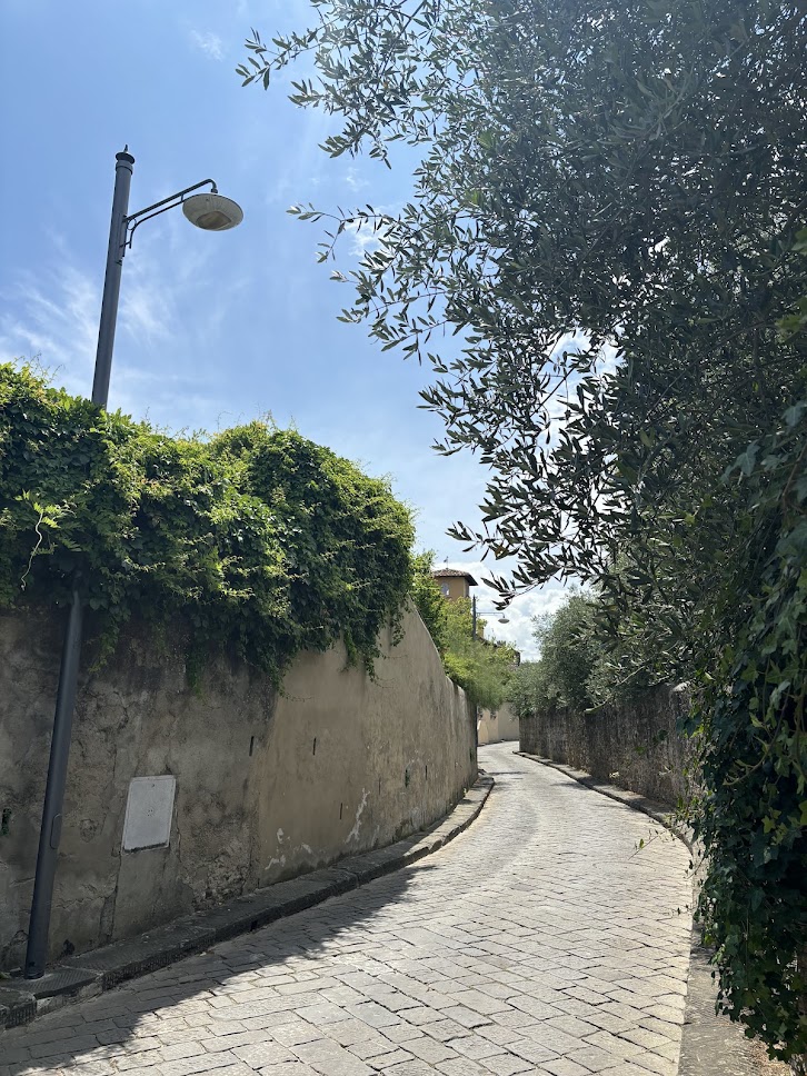 Street in Florence